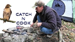 CATCH AND COOK WITH A HAWK - ACR Outdoors Falconry