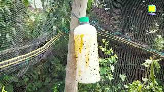 Download lagu SUKSES BUDIDAYA CABE DENGAN PRODUK NASA | AGEN NASA mp3 Download lagu SUKSES BUDIDAYA CABE DENGAN PRODUK NASA | AGEN NASA mp3