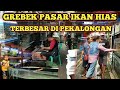 Jual Beli Ikan Hias Pekalongan