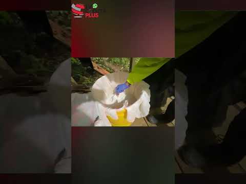 🔴 Golpe al ELN en Norte de Santander: d3stru¡dos 7 laboratorios y frenadas 405.000 dosis de c0c@ína