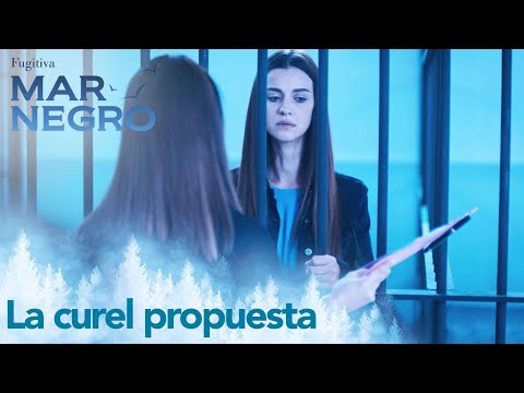 La abogada dijó a Nefes la oferta de Vedat  - Mar Negro Capítulo 98 | Fugitiva