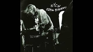 Neil Young with Crazy Horse - Lotta Love (Live) (Official Audio)