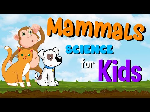Mammals | Science for Kids