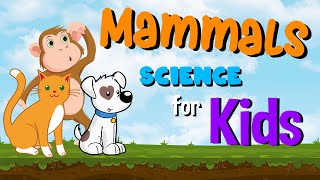 Download lagu Mammals | Science for Kids mp3 Download lagu Mammals | Science for Kids mp3