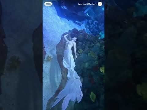 Underwater Dance Mermaid Merman - Choreography Real Jalpari #shorts #jalpari #Mermaid #mermaids