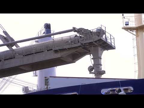 2024 Hafenprozess - Getreideterminal