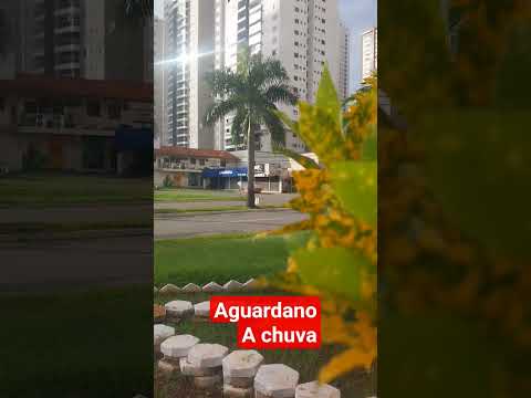 cidade de goiania#goias