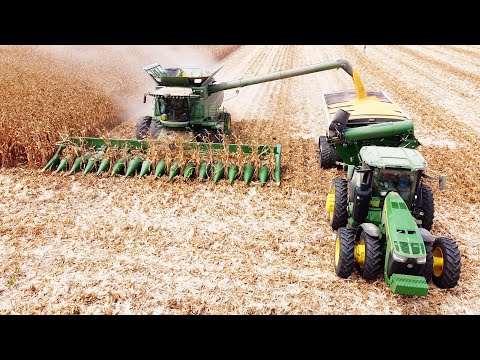John Deere S780 Combines and 16-Row Corn Headers Harvesting Corn | BIG Harvest