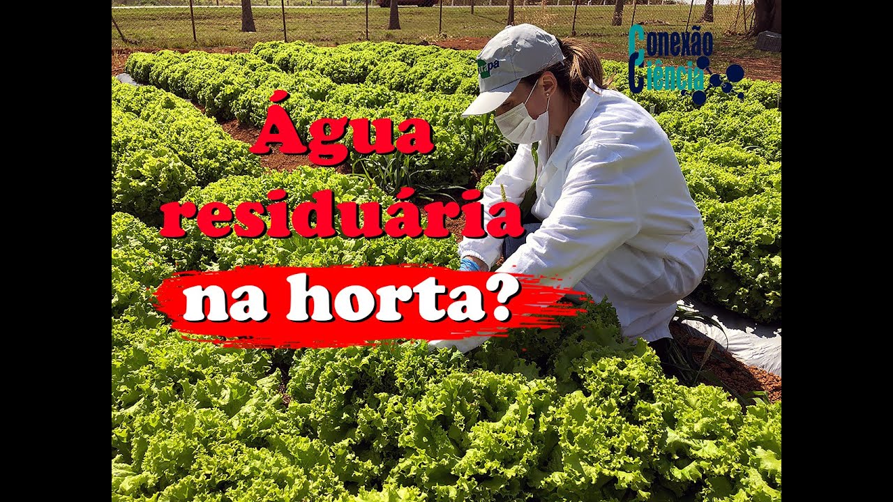 Saiba como reutilizar água residuária na agricultura