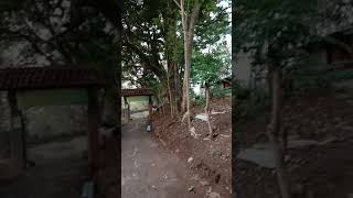 Download lagu MAKAM KERAMAT EYANG SYEH ABDUL KAHFI CIREBON mp3 Download lagu MAKAM KERAMAT EYANG SYEH ABDUL KAHFI CIREBON mp3