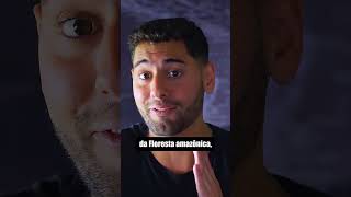 Limite da Floresta Amazônica?