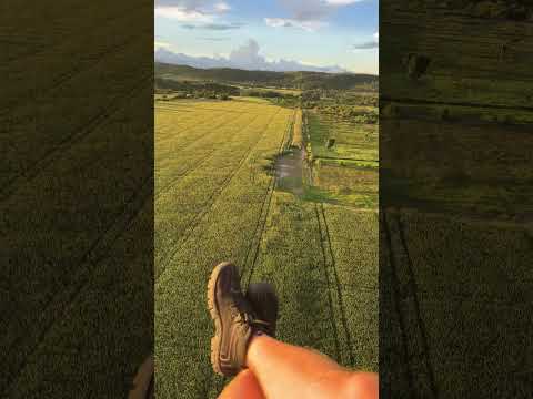 Guarantã Do Norte MT #paramotor