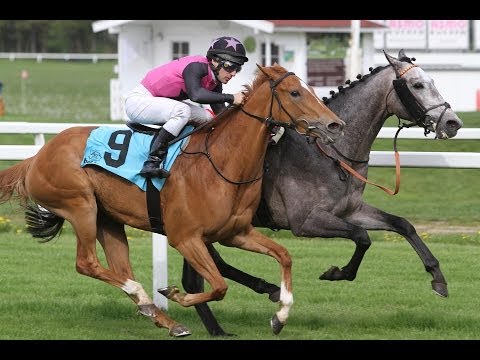 München: Frühjahrs-Preis (D) - Siegerin: Pretty Luna