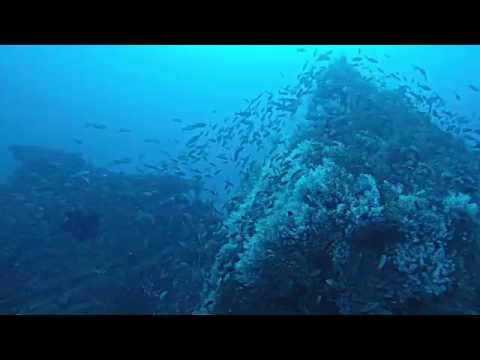 Proteus wreck 7/3/16