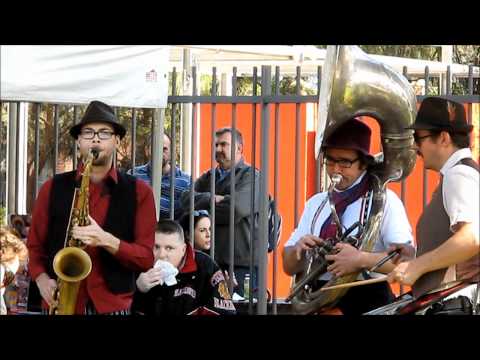 Woolloomooloo.Tv Bourke Street Park Opening 20082011 Band