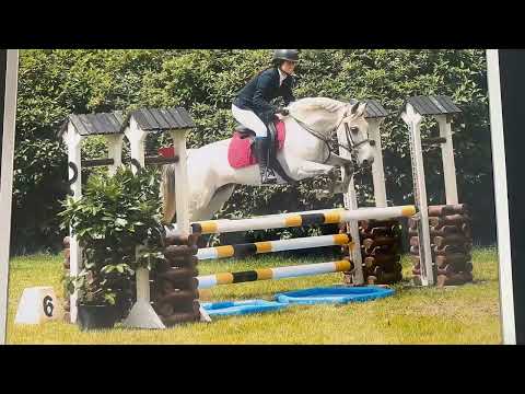 Bobbys lady(Lot148)