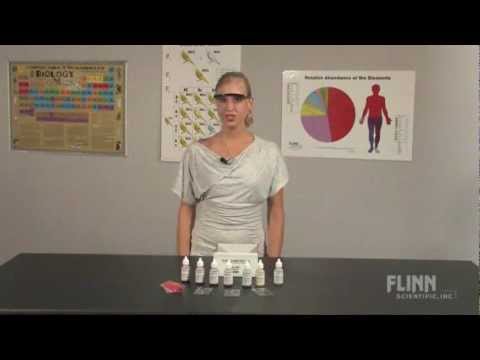 The Blood Group Mystery: Why Types Matter