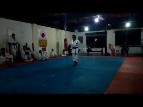 Nanbeikai Genseiryu karate-Do Butokukai do Brasil kata Nanbeiha