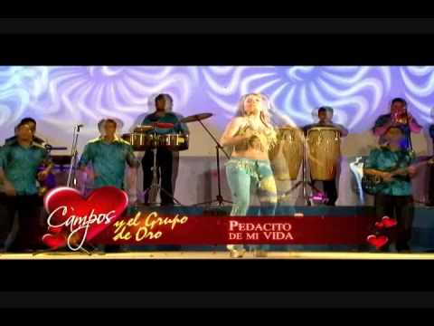 EVELYN CAMPOS LA CHICLAYANA DE ORO - Pedacito de mi vida