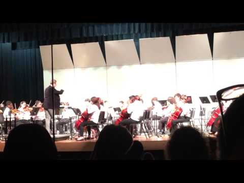 WMS Orchestra Spring 2017