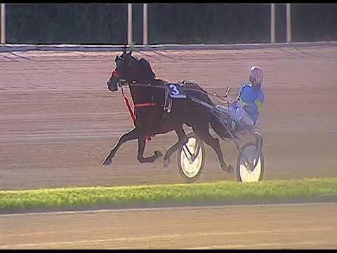 Trotto 11/06/2020 - 9ª corsa