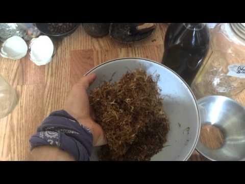 Foraging for Black Birch and Infusing Oil