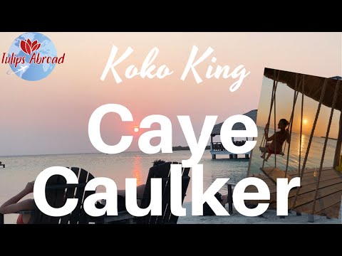 The best beach of Caye Caulker, Koko King resort | Caveman snorkeling tour review | Travel vlog #20