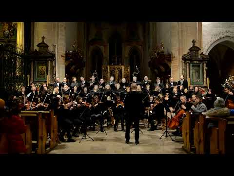 Hola, hola, pasterze z pola (opr. Stanisław Kowalczyk)