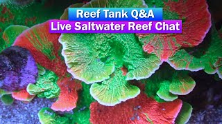 ReefDudes Live Q&A - Saltwater Aquarium Reef Chat