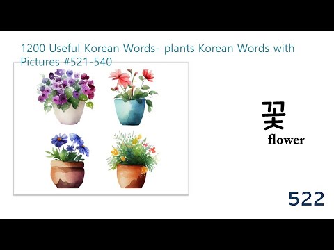 1200 Useful Korean Vocabulary Words-Plants Korean Words #521-540