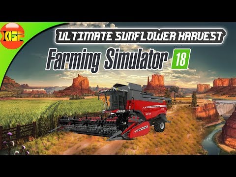 Farming Simulator 18 Multiplayer Gameplay#177- Harvesting Sunflower from all fields!