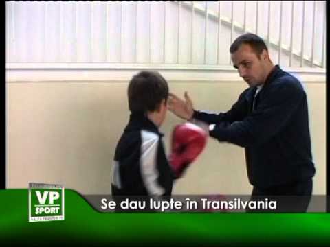 Se dau lupte în Transilvania