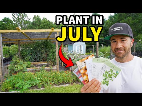 Plant These 10 Awesome Crops In July RIGHT NOW!