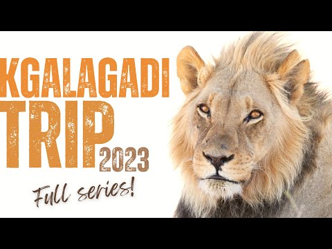 Kgalagadi Trip 2023 - Full Series!