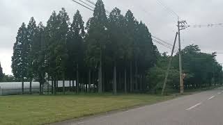 京セラスマホ_プロビデオモード撮影