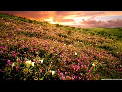 Ralphie B - Divinity [Nocturnal Knights]