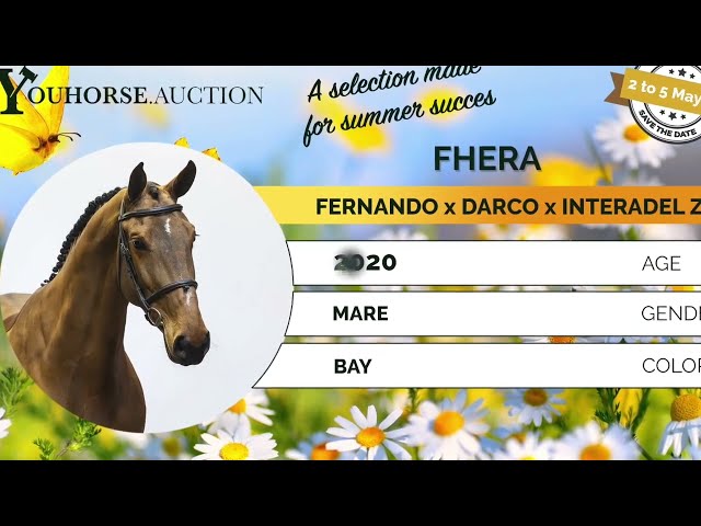 Fhera showvideo