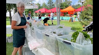 How we harvest for the Farm Market - Hydroponic Produce tips and tricks.