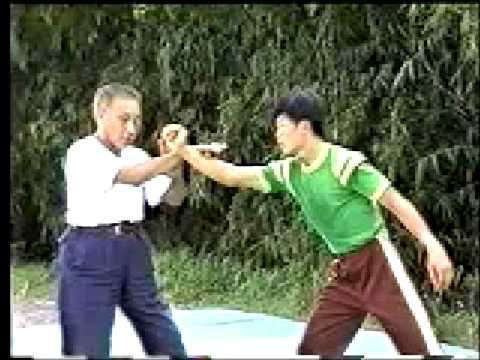 Tai Chi Master Fu Wing-fei: Applications