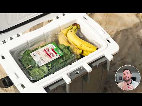 Small Coolers + Lunchbox Coolers (Pelican vs. Yeti vs. Igloo) - TRAVELPREP