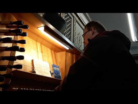 Halleluja - Suchet zuerst Gottes Reich in dieser Welt EG 182