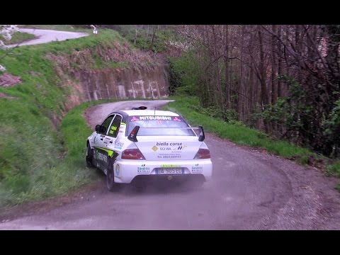 5° Rally Colli del Grignolino 2017 | CRASH & MISTAKES  [HD]