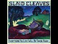 Hard to Believe by Slaid Cleaves