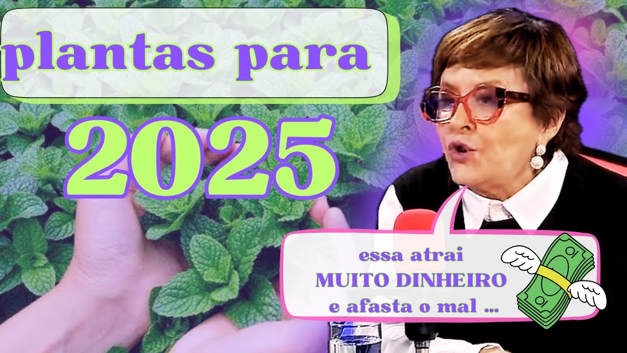PLANTAS PARA SE TER EM CASA EM 2025 por Márcia Sensitiva | PREVISÕES SIGNOS 2025 | O ANO DE JÚPITER