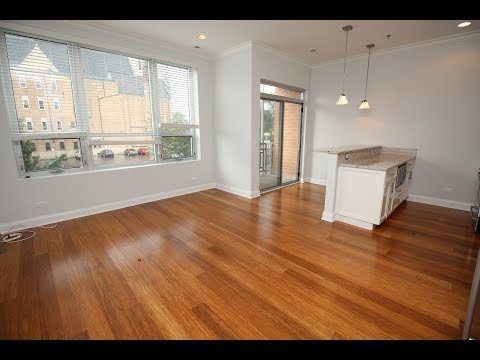 W Warren & N Ashland #209 - Video 1 of 2