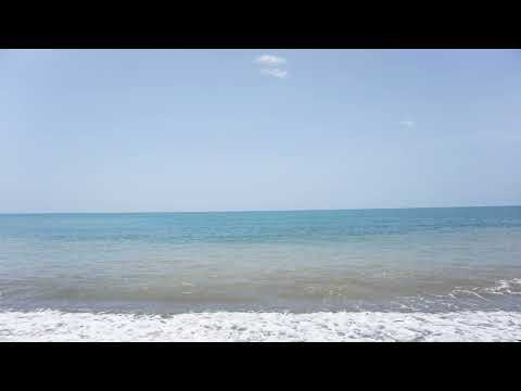 韋禮安-有沒有-歌，聖你沒唱-浴室歌唱天王