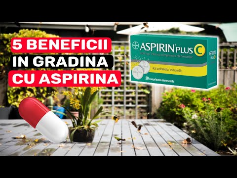 , title : '5 AVANTAJE ALE ASPIRINEI IN GRADINA ( + RETETA INSECTICID BIO )'