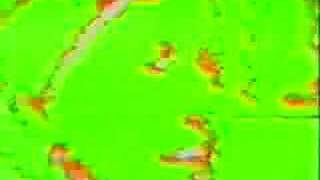 Gorky's Zygotic Mynci - 12. 12 Impressionistic Soundscapes