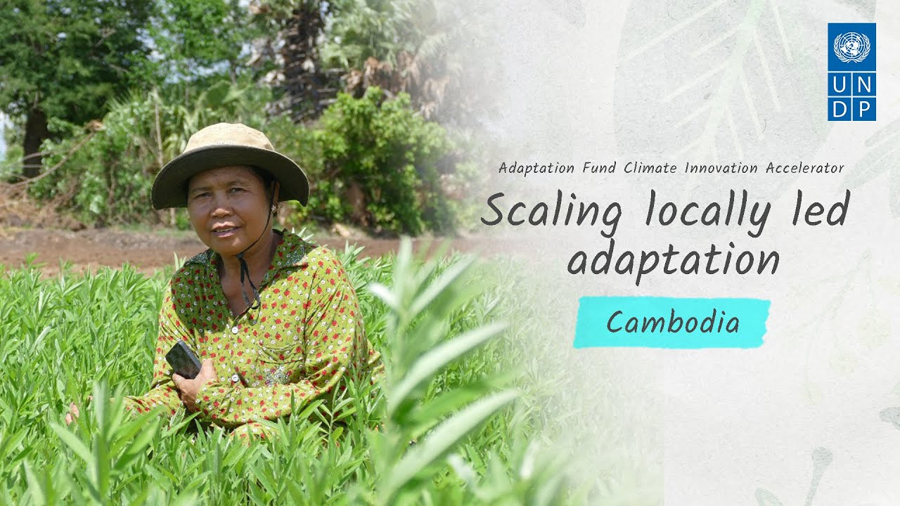 Building climate resilience through cover cropping: HEKS Cambodia