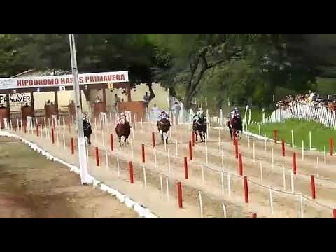 XIII GP HARAS PRIMAVERA - 3° Páreo Classificatório,14/03/2020.